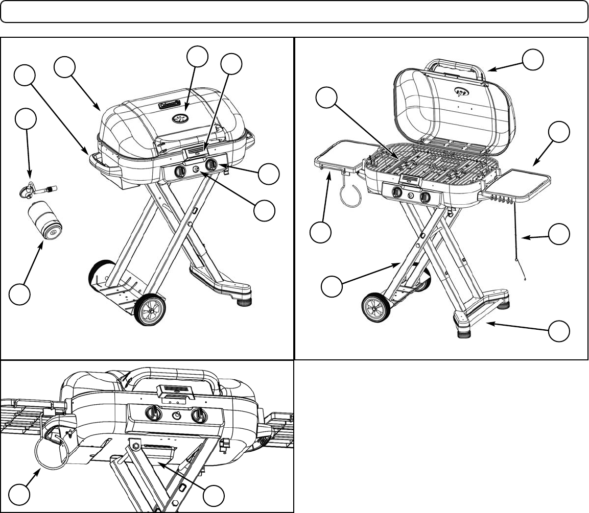 Page 4 of Coleman Gas Grill 9928 User Guide | ManualsOnline.com