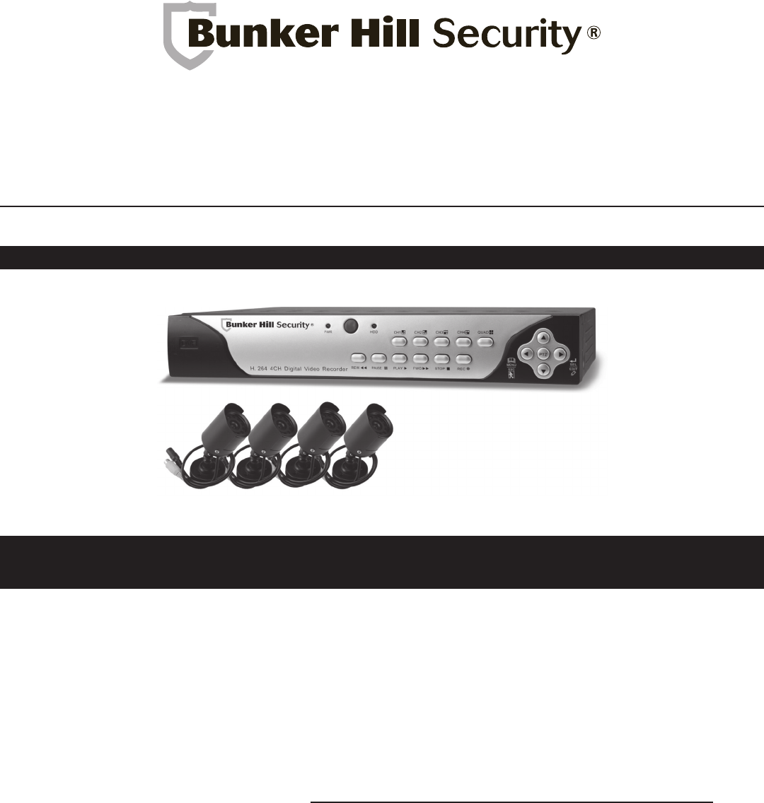 remote view of bunker hill security dvr settings through router