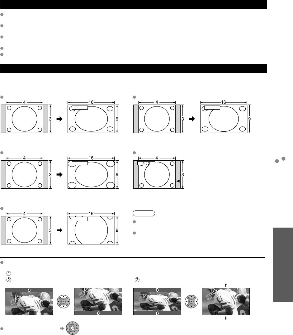 Page 43 of Panasonic Flat Panel Television TC-P50S2 User Guide