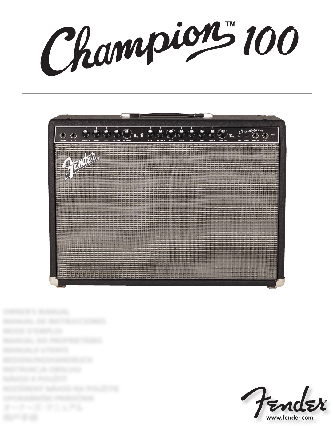 Fender Stereo Champion 100 User Guide |
